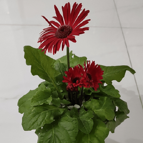 Tbs Marekting Github - Best Nature Images in Full HD