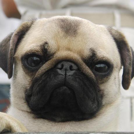 Kolt A Github - Premium Geometric Texture Gallery - Full HD