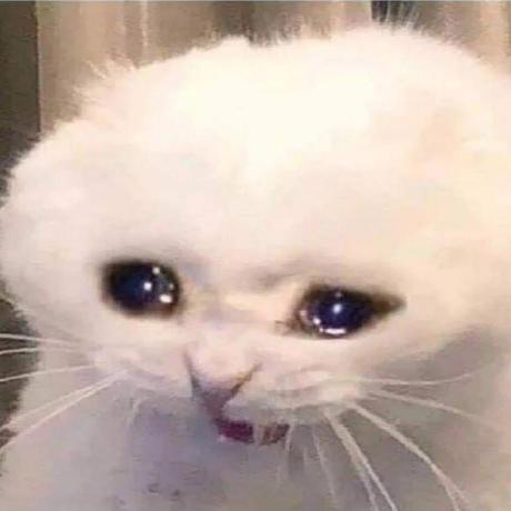 Sblkacar Sibel Ka Ar Github - Download High Quality Gradient Photo | Mobile