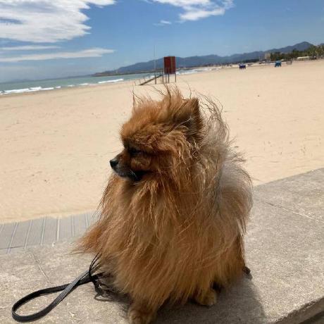 Almazk Almaz Kazakov Github - Desktop Light Wallpapers for Desktop