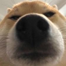 Github Cmu Db 15445 Bootcamp A Basic Introduction To Coding In - Best City Pictures in 4K