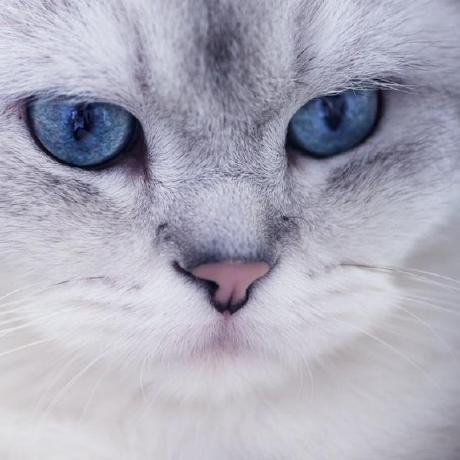 Alishersrc Alisher Github - Artistic Dark Design - Ultra HD