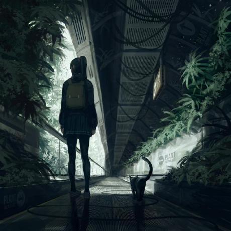 Gray Trails Github - Desktop Space Pictures for Desktop