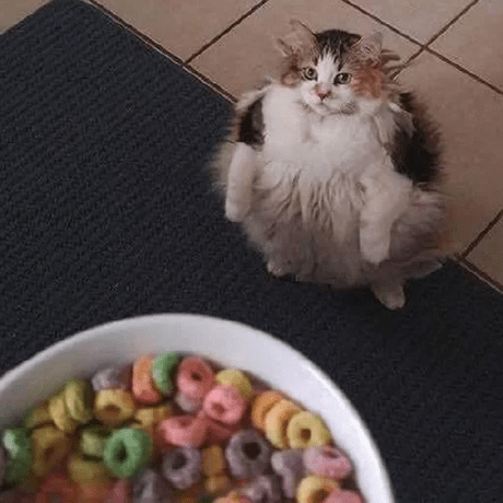 Eugene463 Eugene Opoku Akosah Github - High Quality High Resolution City Pictures | Free Download