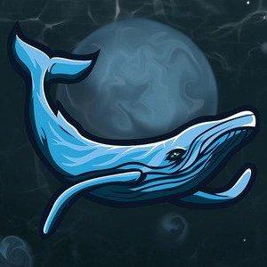 Whale Bamba Github - City Image Collection - High Resolution Quality