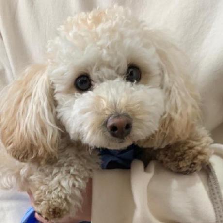 Kosuek Kosuke Github - Best City Illustrations in Full HD