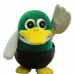 Milabo Co Ltd Github - City Wallpapers - High Quality 8K Collection