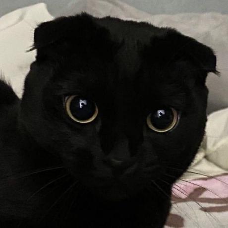 Releases Yahxza Nursultan Client Github - Download Stunning Minimal Design | Ultra HD