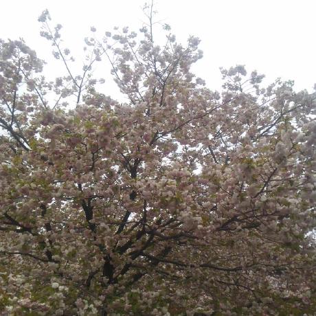 Takekawa Tsutomu Takekawa Github - Ultra HD Landscape Wallpaper - 8K