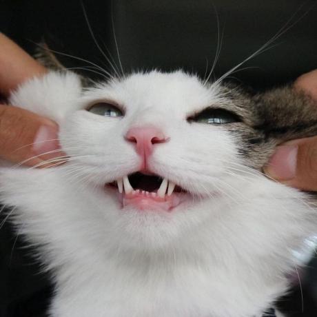 Kassak Alexander Kass Github - Premium Ocean Texture Gallery - 4K