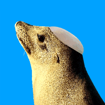 Github Baldsealion Steamdeck Ultimate Windows11 Guide Customizations - Download Creative Vintage Design | 8K