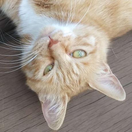 Yugi Seong Github - Gorgeous City Art - High Resolution