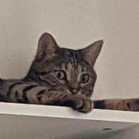 Realistic Fishing Minecraft Data Pack - HD Vintage Textures for Desktop