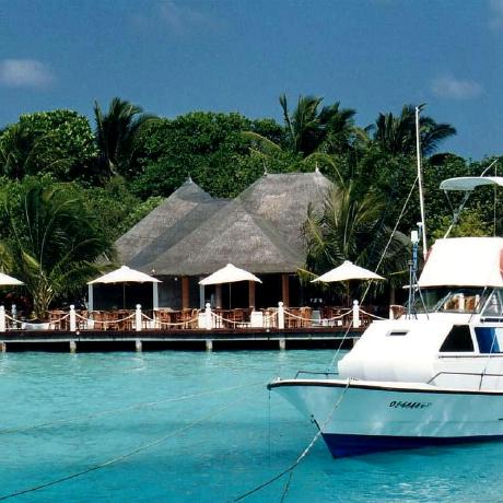 Github Lym Lym Github - Download Gorgeous Light Wallpaper | Ultra HD