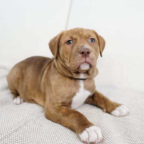 Github Claire E Prog Claire E Prog Github Io - Best Nature Images in Mobile