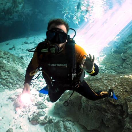 Github Fmontserrat Birdbuddyexplorer - Download Elegant Ocean Photo | 4K