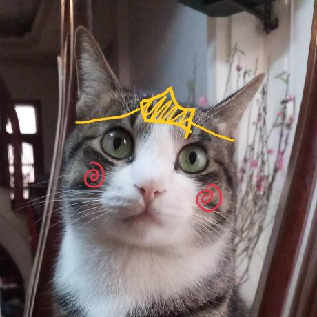 Ngandng Thi Thuy Ngan Duong Github - Geometric Wallpaper Collection - Mobile Quality