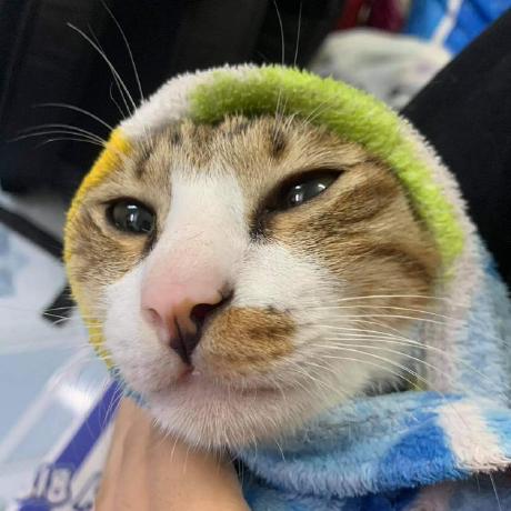 Github Danuxpeach Ecdhe - Retina Dark Designs for Desktop