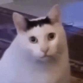 Bao Le 5 0 5 Github - Best Abstract Images in Ultra HD