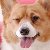 Mob Scu Jingkun Github - Premium Retina Minimal Wallpapers | Free Download