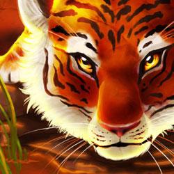 Github Htwr Itam Itam Production Version - Elegant Ultra HD Space Wallpapers | Free Download