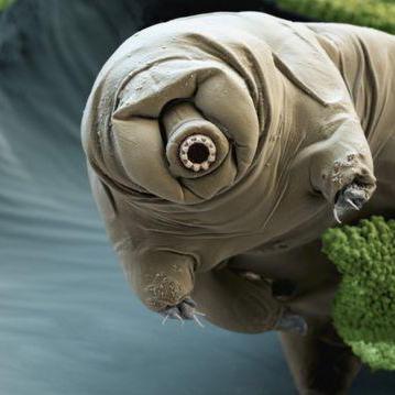 Abraham Evansel Github - Sunset Photo Collection - HD Quality