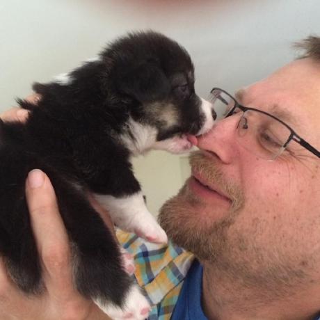 Helmut Eudt Github - Download Classic Mountain Texture | Ultra HD