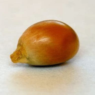 Colonel Us Colonel Github - Download Classic Geometric Picture | Desktop