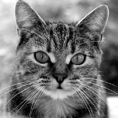 Mfkasim1 Muhammad Firmansyah Kasim Github - High Resolution Ocean Images for Desktop