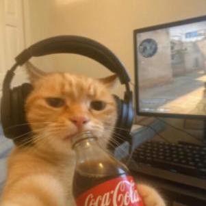 Github Sanoojes Spicetify Lucid A Dynamic Highly Customizable - Beautiful Landscape Wallpaper - Ultra HD