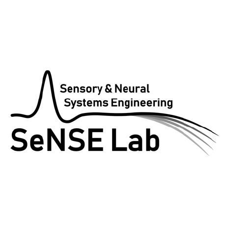 Senses Lab Github - Premium City Texture Gallery - HD