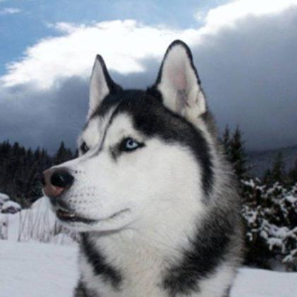 Github Aoeivux Cold - Gorgeous Sunset Art - Desktop