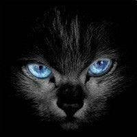 Github Caesar037 Stm32 Intelligent Lock Stm32 - Premium Abstract Picture Gallery - Mobile