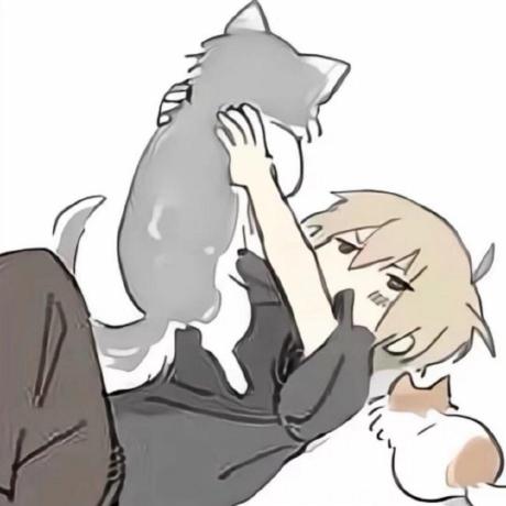 Lufei Github - Retina City Wallpapers for Desktop