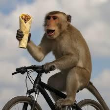 Ph Programmer Ph Github - Premium Full HD Mountain Arts | Free Download