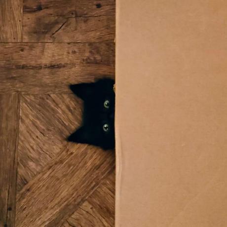 Leper09 Leper Github - Vintage Design Collection - Ultra HD Quality