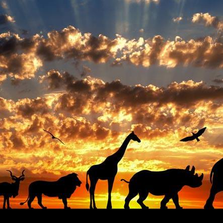 Konduruvarshith Github