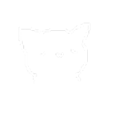 Sunraystechnologies Sunrays Github - Premium Dark Illustration Gallery - Full HD