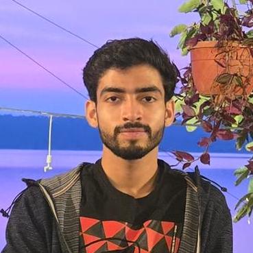 Rakshit389 Rakshit Upadhyay Github - Nature Illustrations - High Quality High Resolution Collection