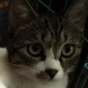 Github Tzjtatata Triad - Minimal Art Collection - Desktop Quality