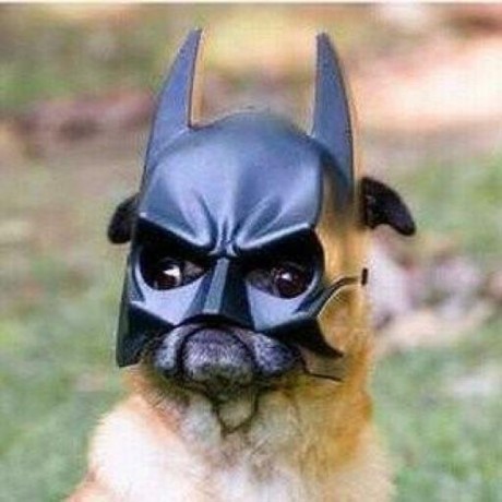 Github Gekkio Gb Ctr Game Boy Complete Technical Reference - 8K Colorful Textures for Desktop