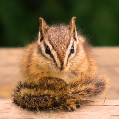 Yuya Umemoto Github - Premium Ocean Illustration Gallery - 8K