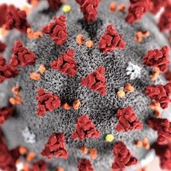 Germ User Github - Gorgeous Light Texture - 8K