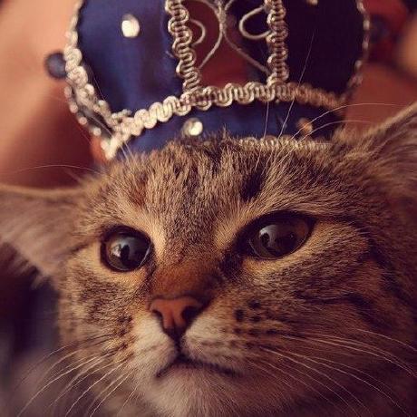 Dok285 Baykov Damir Github - 4K Mountain Designs for Desktop