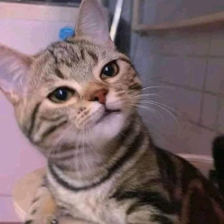 Kev1nandreas Kevin Andreas Github - HD Minimal Designs for Desktop