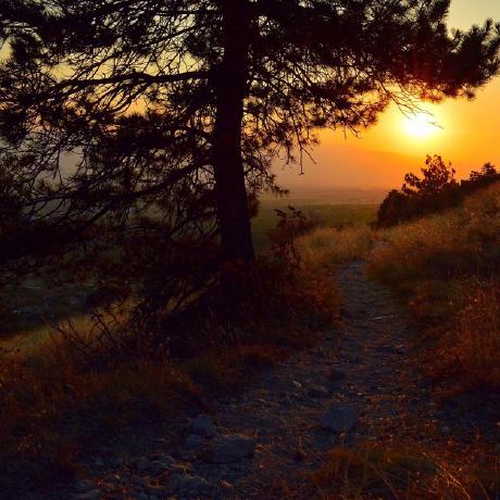 Matheuspugliese Matheus Pugliese Github - Ultra HD Colorful Textures for Desktop