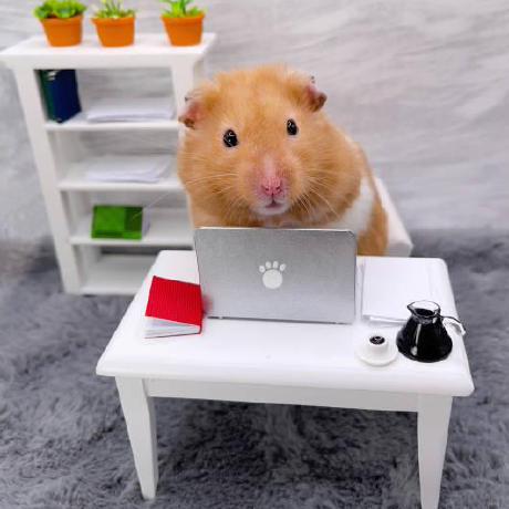 Github Almasjss Testtask - Premium Dark Image Gallery - Desktop