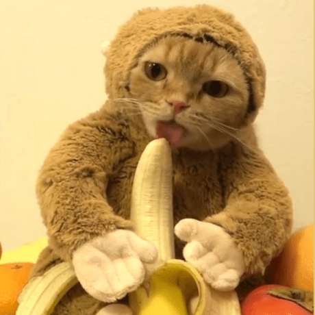 R Mackay R Mackay Github - Download Elegant Nature Texture | 4K