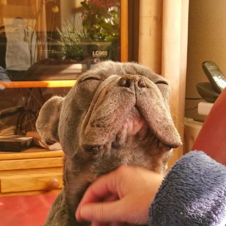 Bramm99 Bram Github - Ultra HD HD Minimal Wallpapers | Free Download