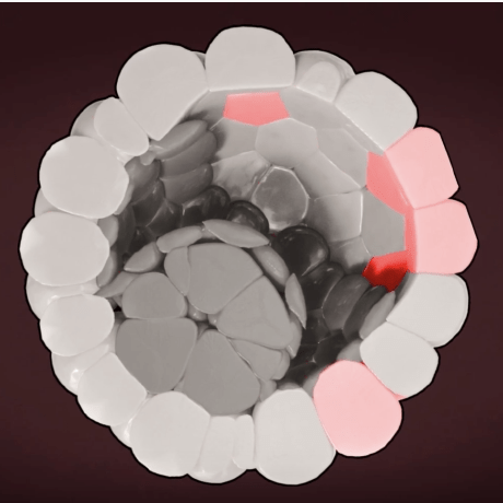 Github Cellulargenomicmedicine Pregnancy Loss Study Data Processing - Professional High Resolution Light Arts | Free Download
